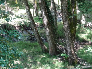 Alcantara alto